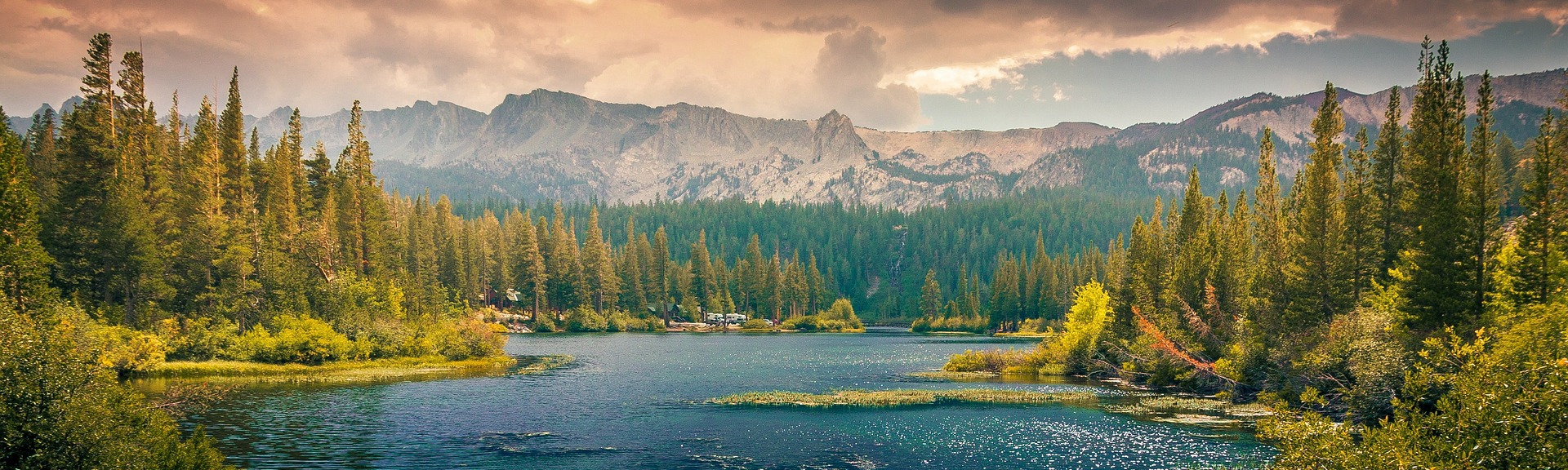 વાસંતીફૂલ